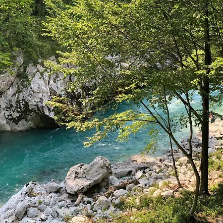 Tourist Farm Zvanc 팜스테이 코바리드