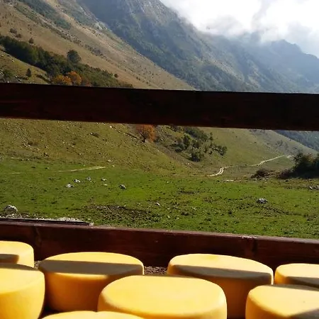 Tourist Farm Zvanc *