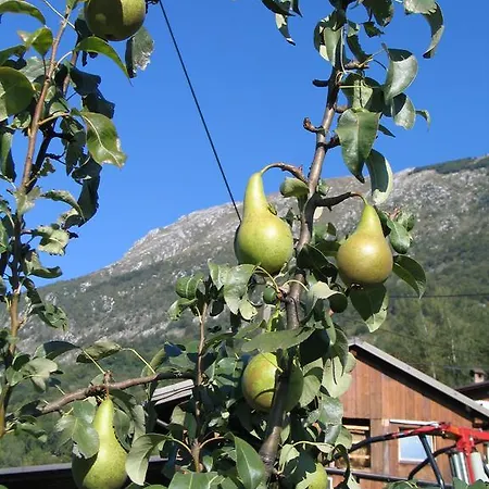 Farm stay Tourist Farm Zvanc *