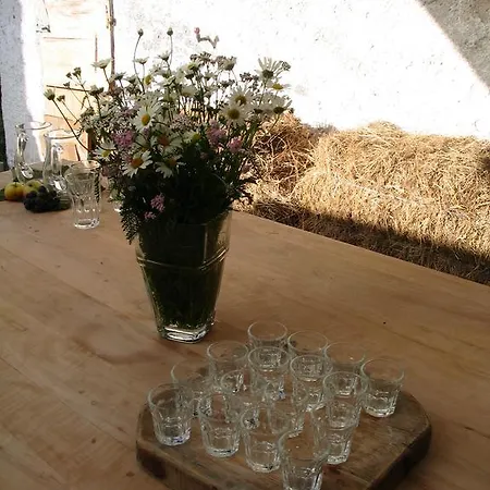 Farmház Tourist Farm Zvanc