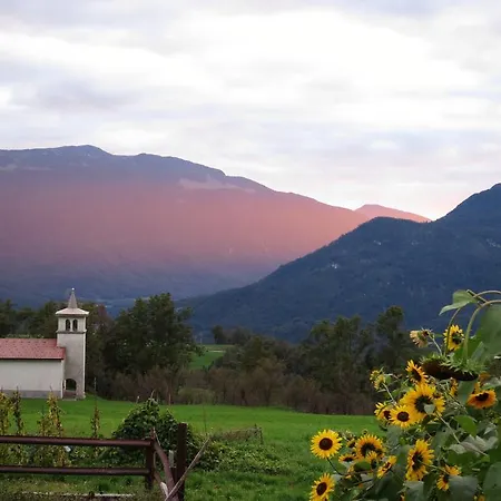 Tourist Farm Zvanc Farm stay