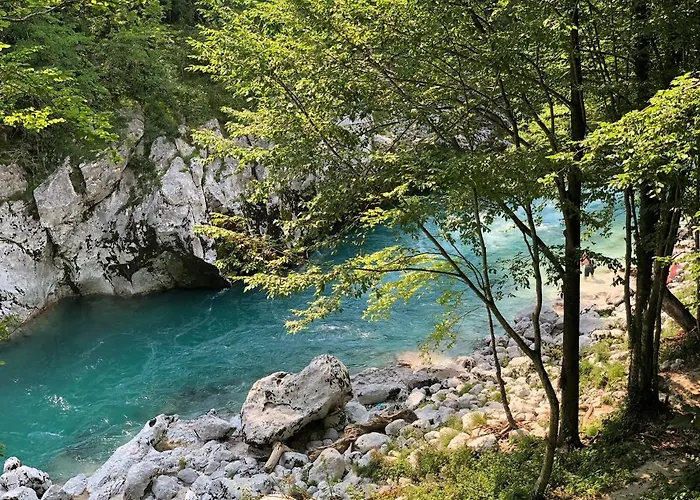 Tourist Farm Zvanc ファームステイ コバリード