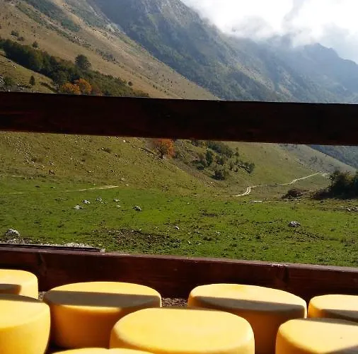 Tourist Farm Zvanc *