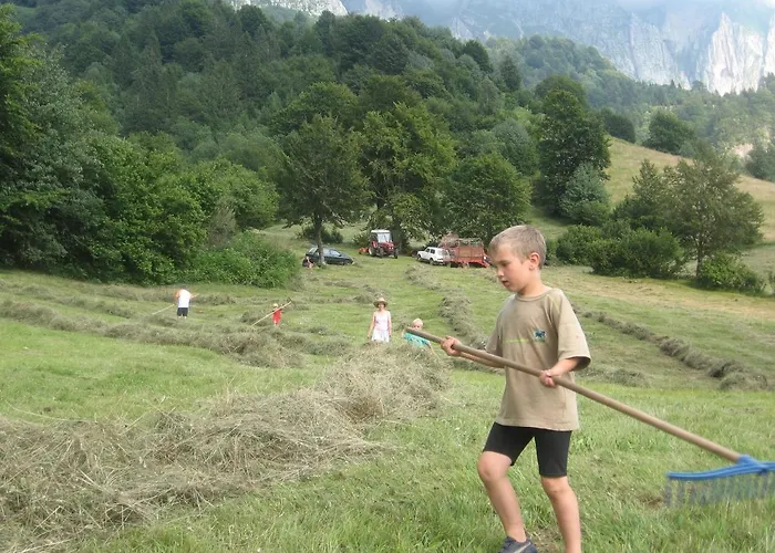 ファームステイ Tourist Farm Zvanc コバリード