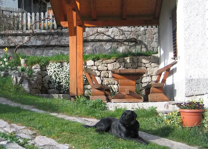 Tourist Farm Zvanc ファームステイ コバリード