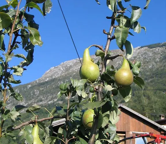 ファームステイ Tourist Farm Zvanc *