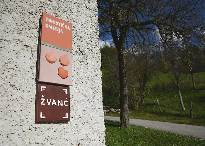 Tourist Farm Zvanc
